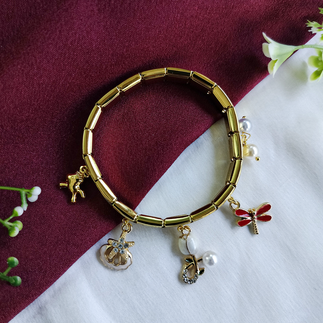 Enchanted Dreams Charm Bracelet ( Anti Tarnish)