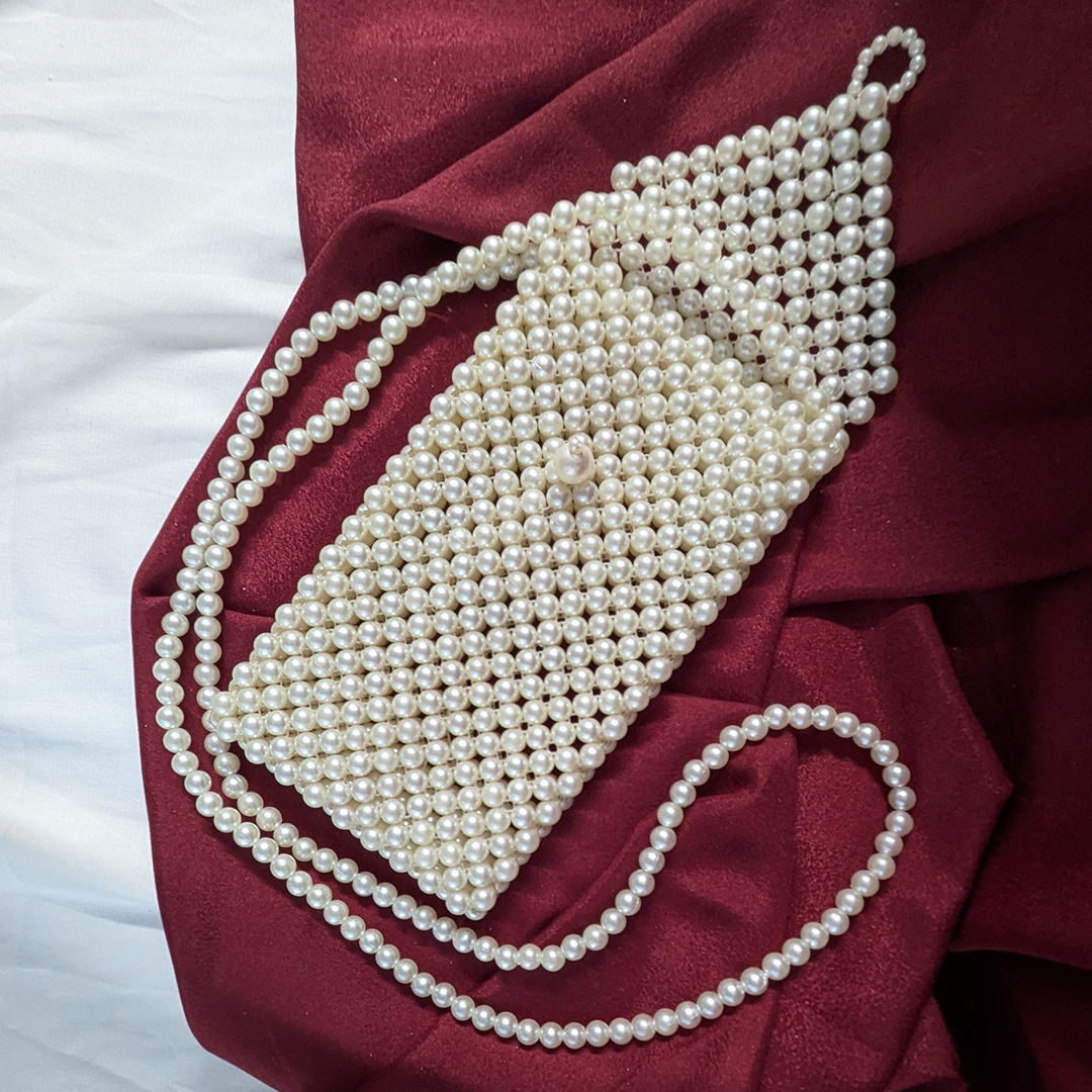 Stylish Pearl Embellished Accessories Bag